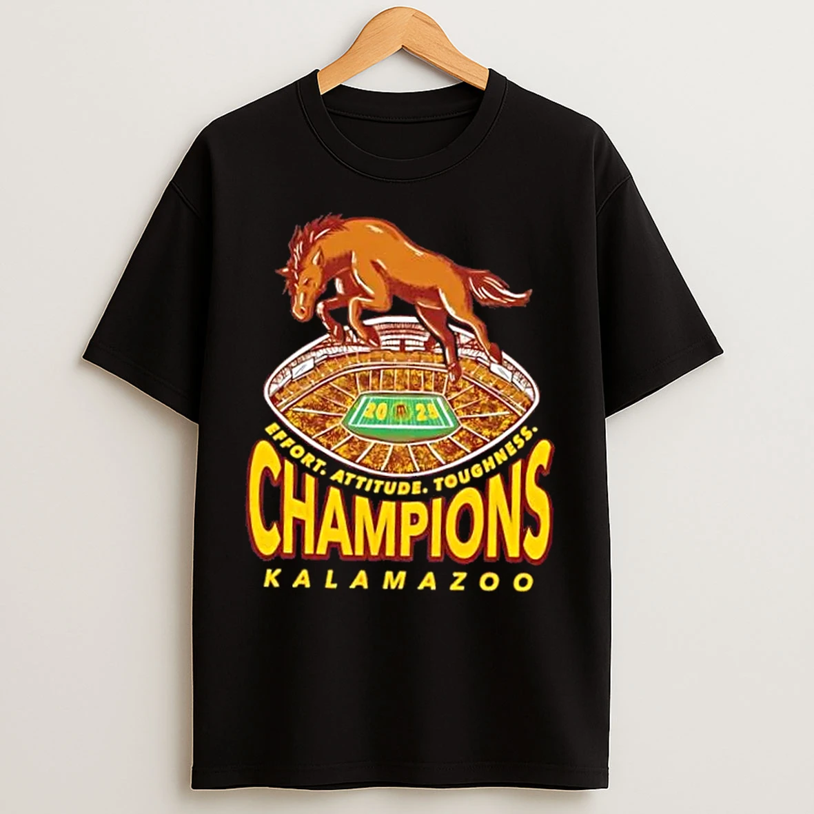 Classic 2025 Kalamazoo Conference Champions Stadium T Shirts
