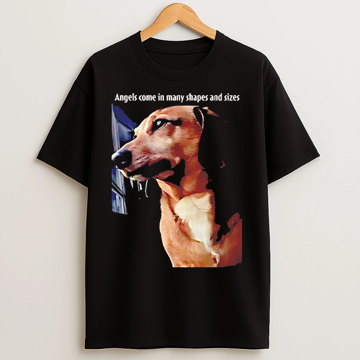 Classic Angels Come In Many Shapes And Sizes Frankie T Shirts