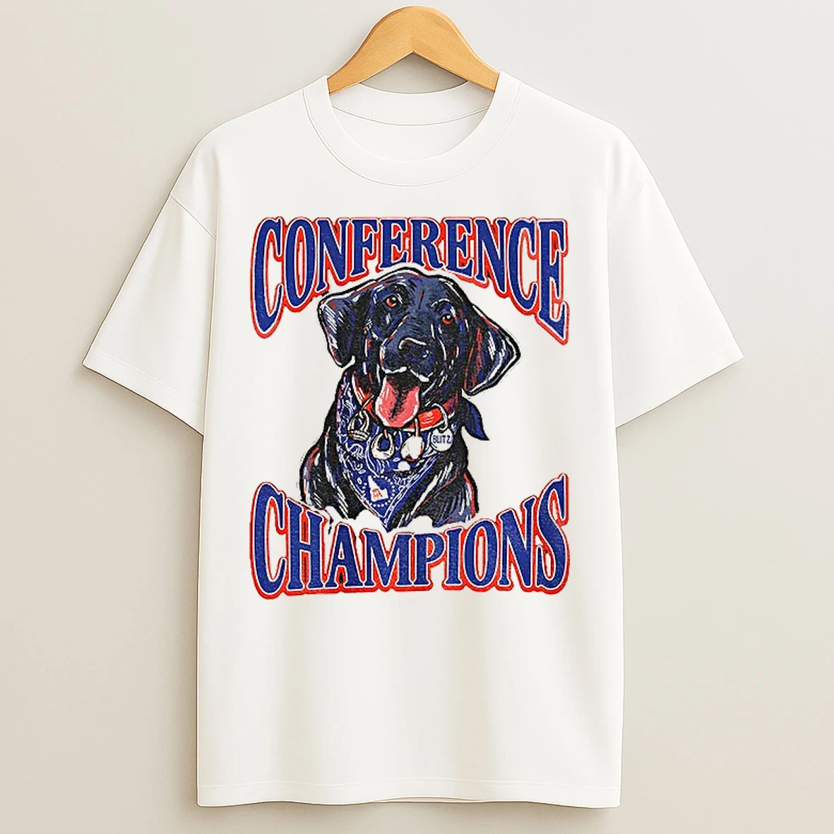 Classic Boise State Broncos Back To Back Conference Champions Blitz T Shirts