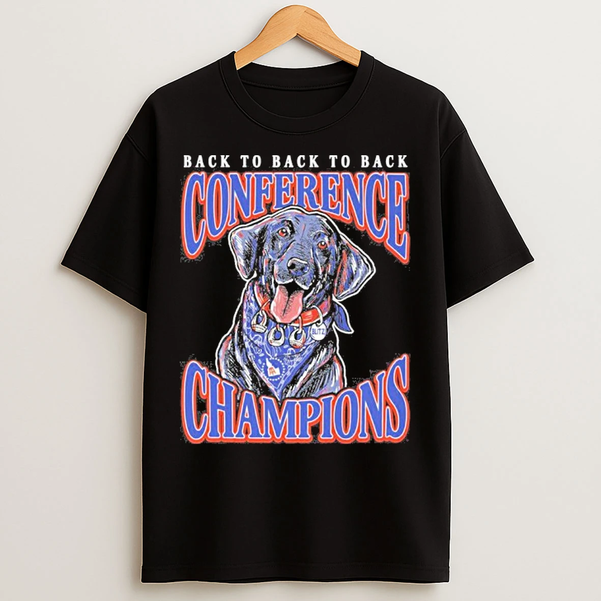Classic Boise State Football Back To Back To Back Conference Champions Blitz T Shirts