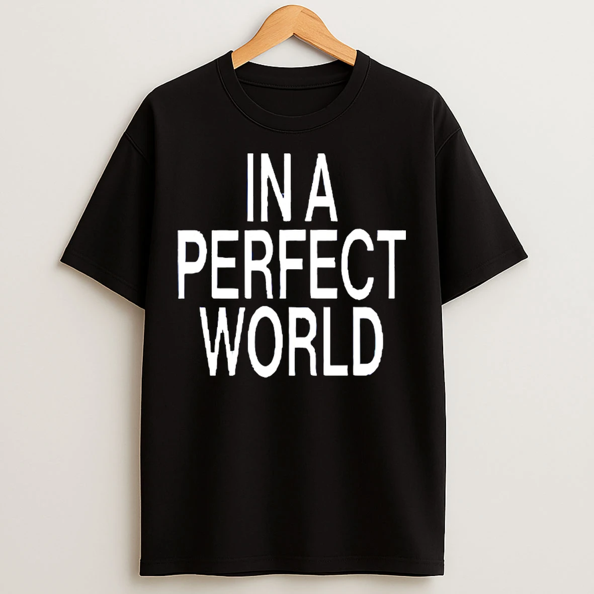 Classic In A Perfect World T Shirts