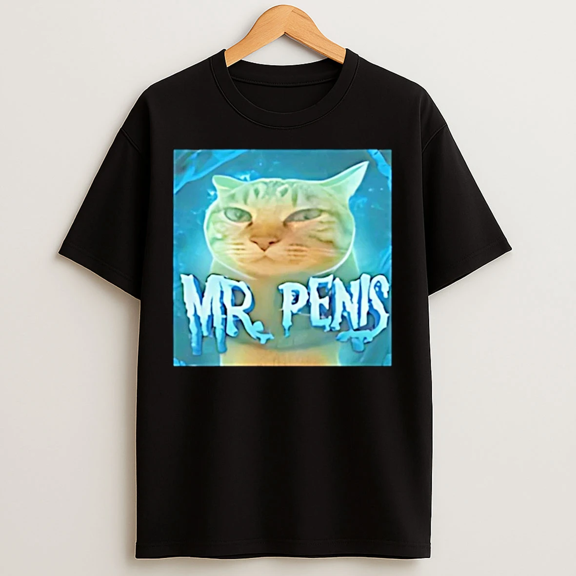 Classic Mr Penis Cat Meme Christmas T Shirts