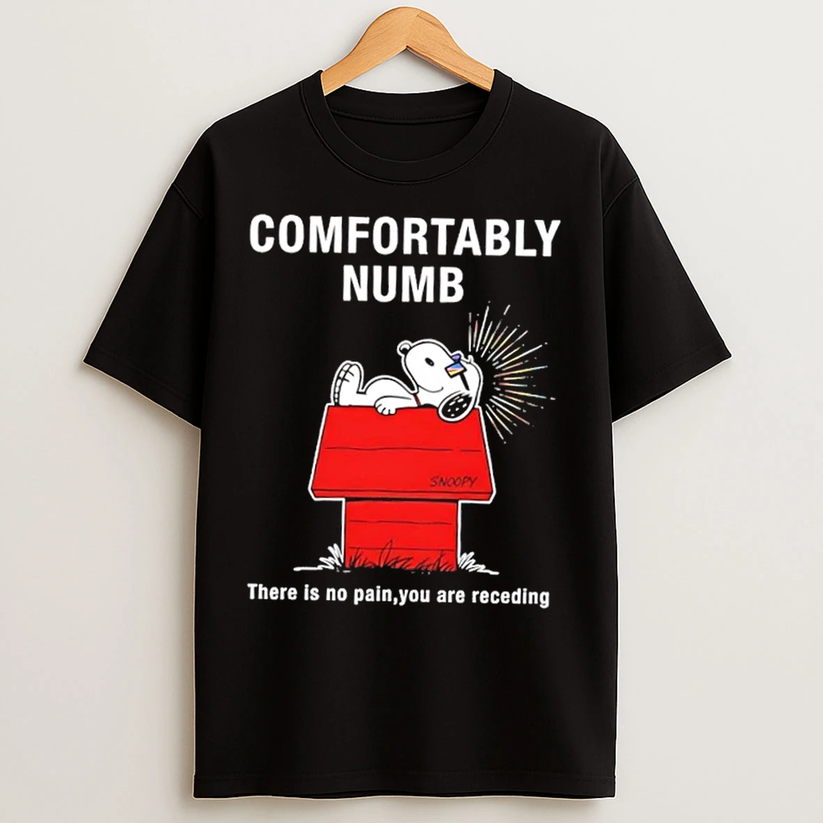 Classic Peanuts Snoopy Confortably Numb There Is No Pain You Are Receding T Shirts