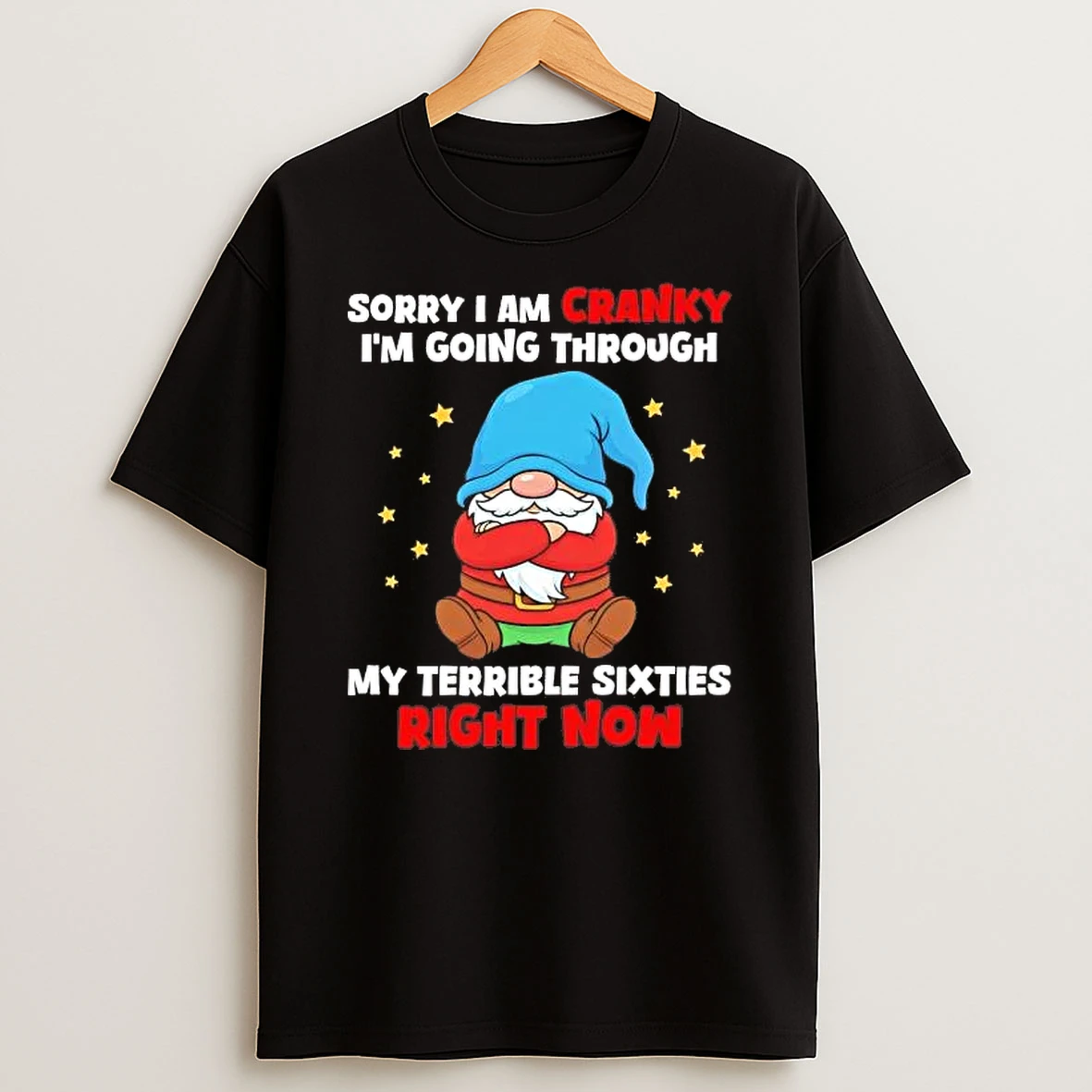Gnome Sorry I Am Cranky Im Going Through My Terrible Sixties Shirts