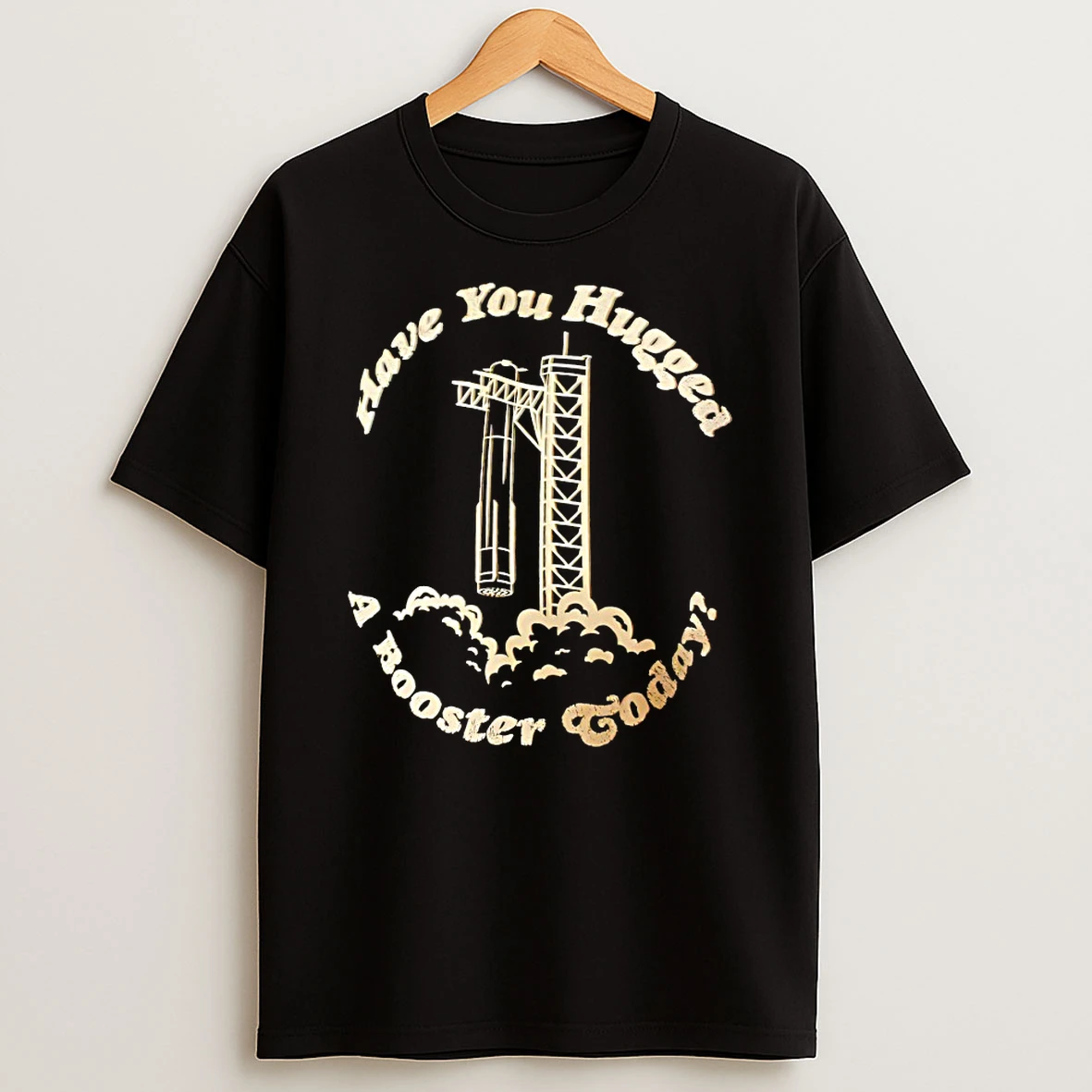 Have You Hugged A Booster Today Shirts