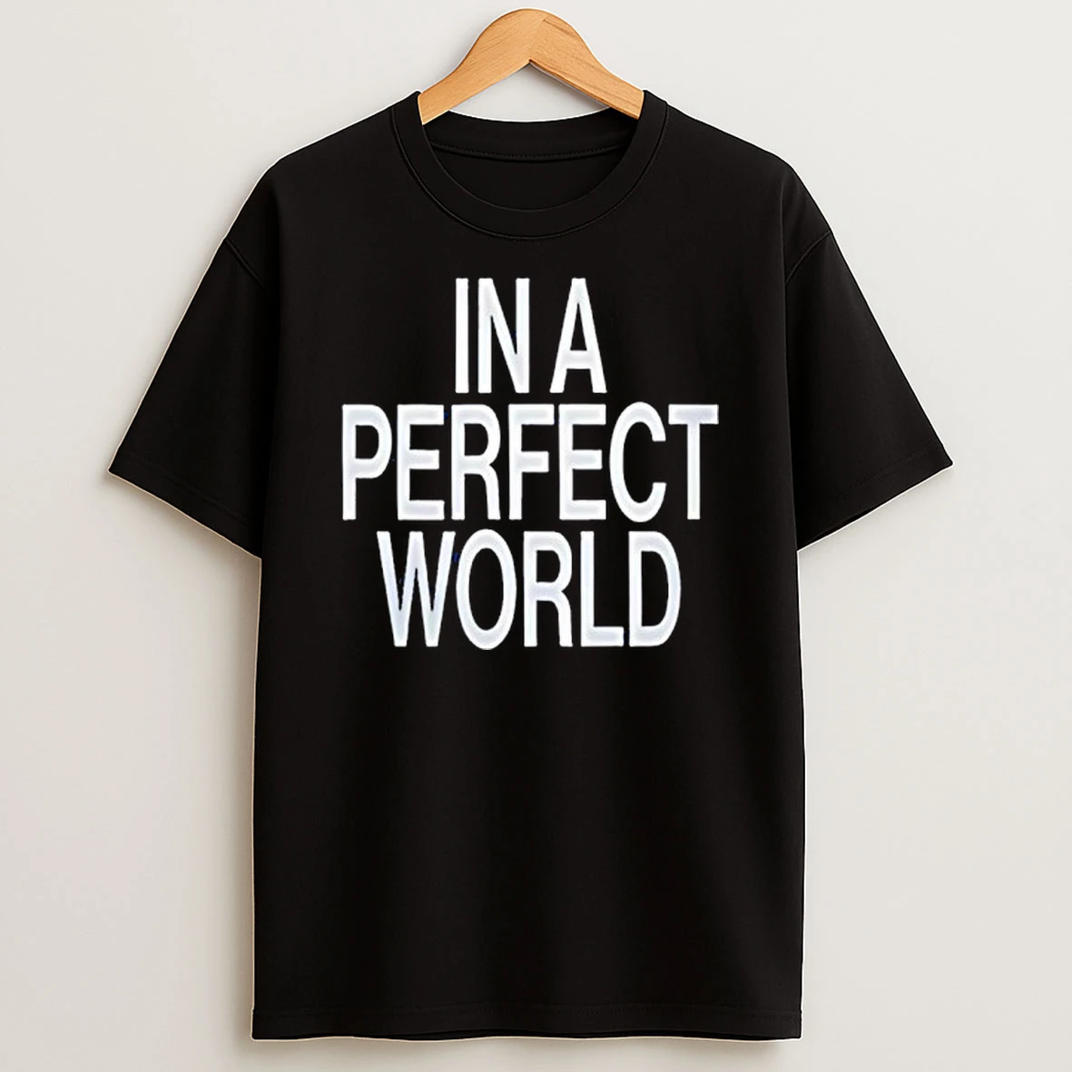 In A Perfect World Shirts