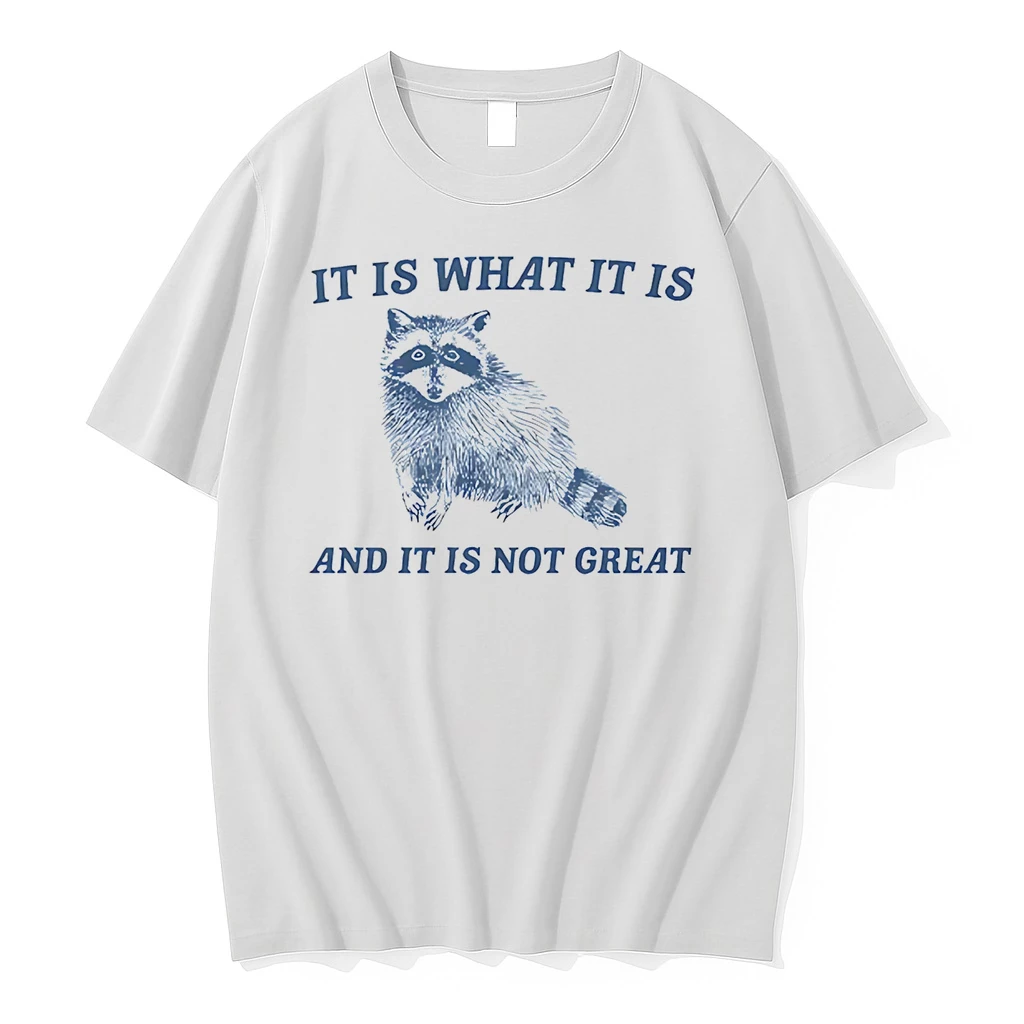 It Is What It Is And It Is Not Great Raccoon Shirts