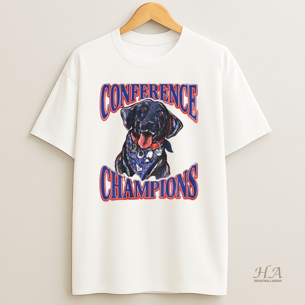 Official Boise State Broncos Back To Back Conference Champions Blitz Shirt