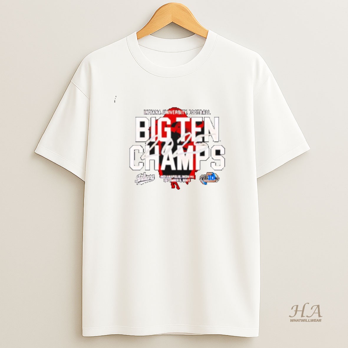 Official Indiana 2025 Big Ten Champs Bison Graphic T Shirt