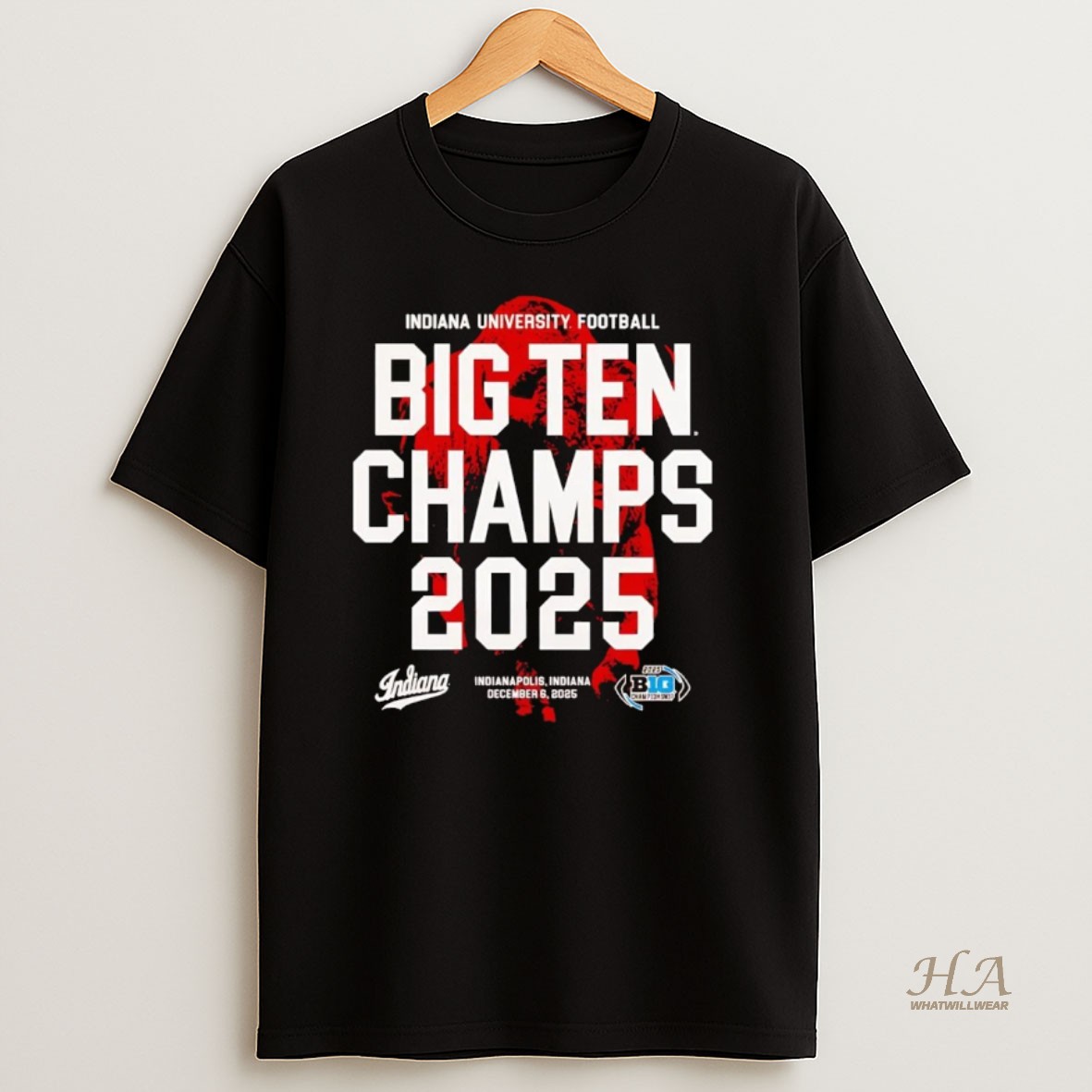 Official Indiana Hoosiers 2025 Big Ten Champs T Shirt