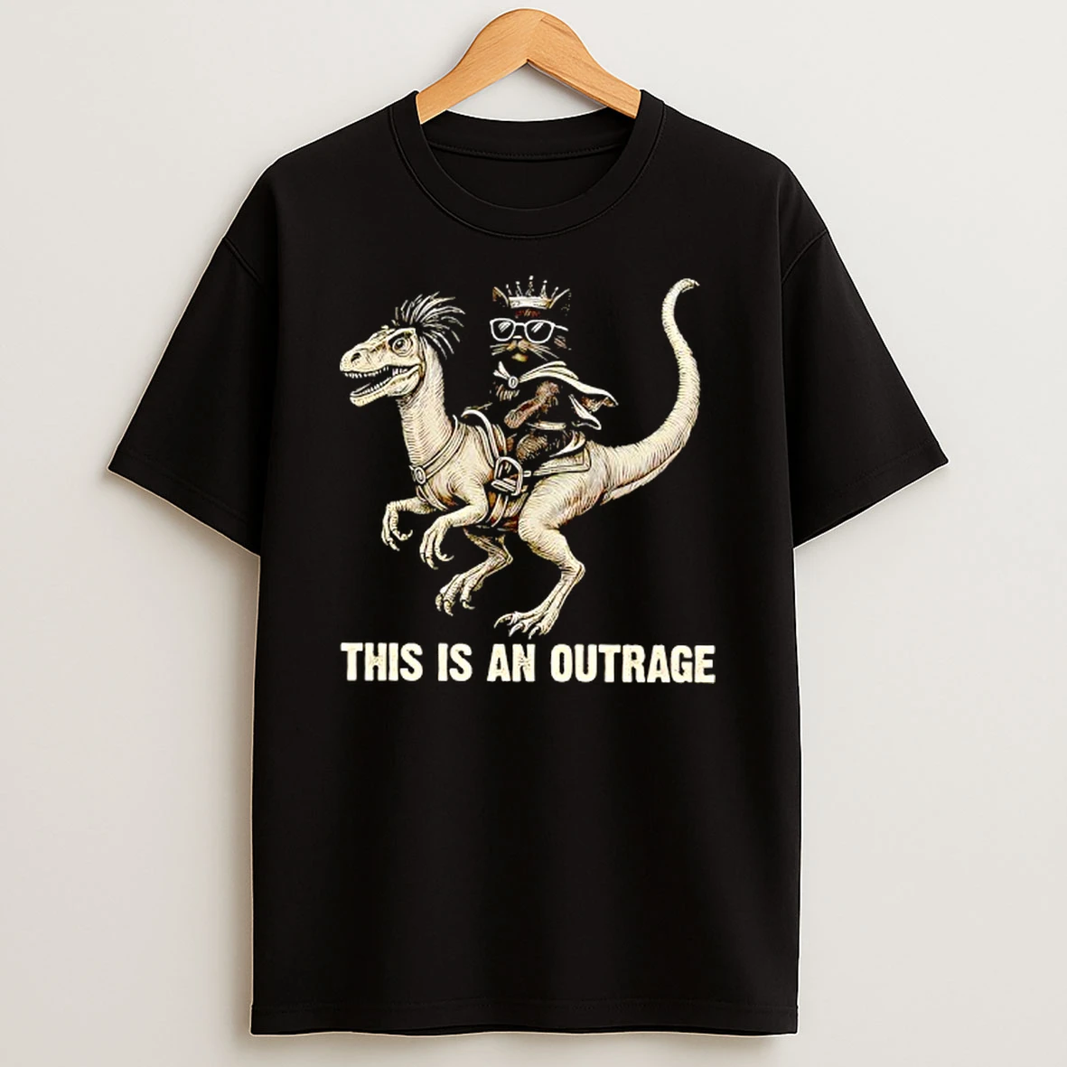 This Is An Outrage For Cat Lover Shirts