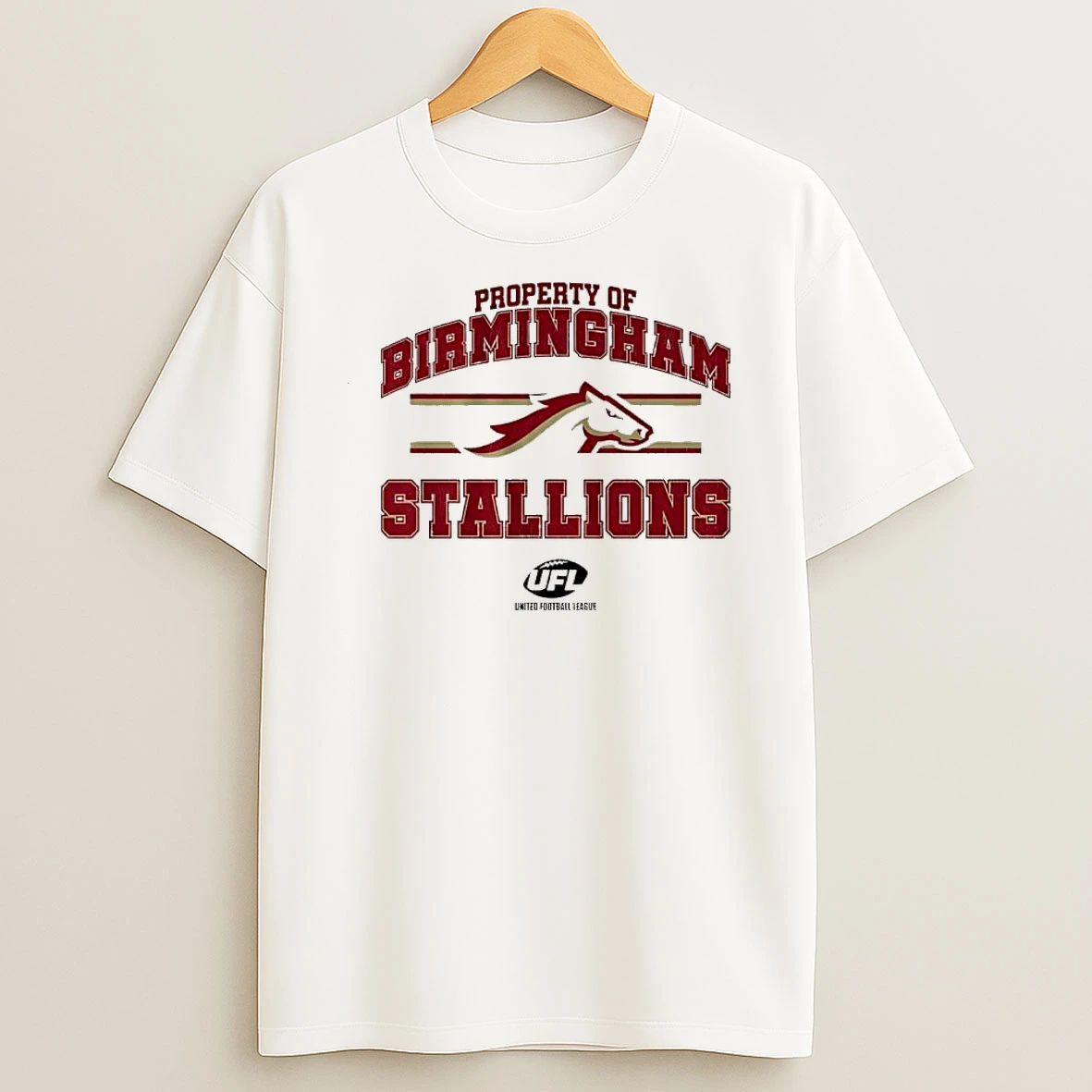 Whatwillwear Dalatshirt 20251222_161657 46_property Of Birmingham Stallions Banner Stylish Shirts