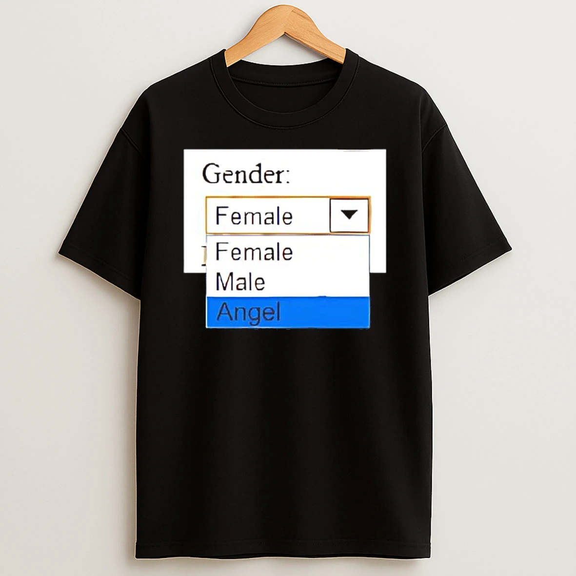 Whatwillwear Hoopoetees 20251222_101025 234_gender Female Male Angel Shirts