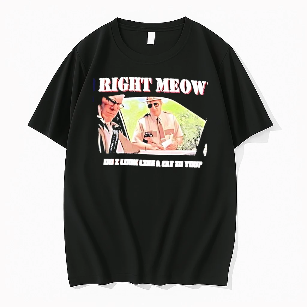 Broken Lizard Right Meow Do I Look Like Cat To You Shirts