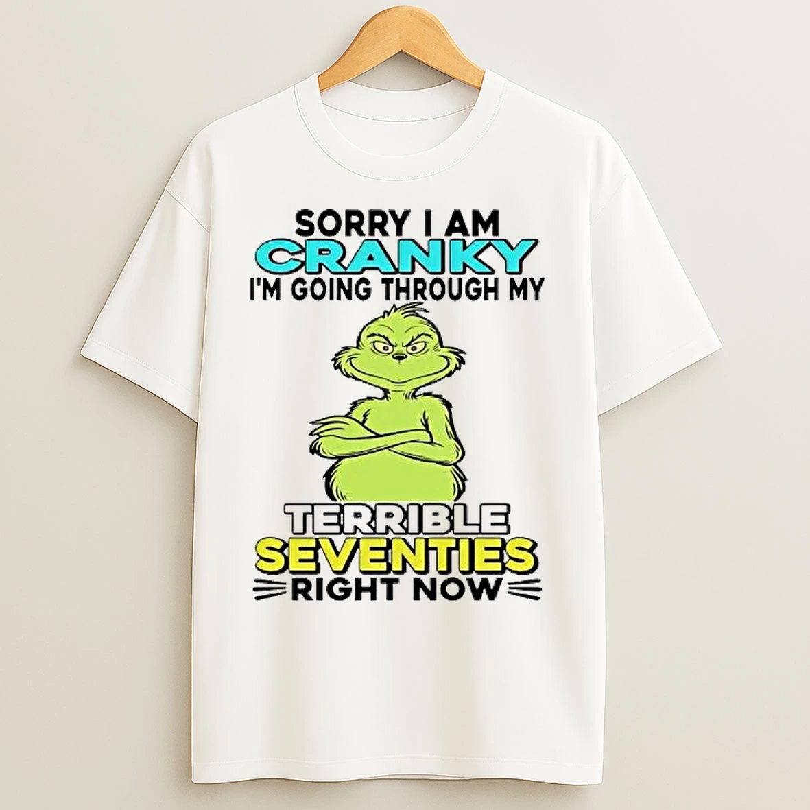 Classic Grinch Sorry I Am Cranky Im Going Through My Terrible T Shirts