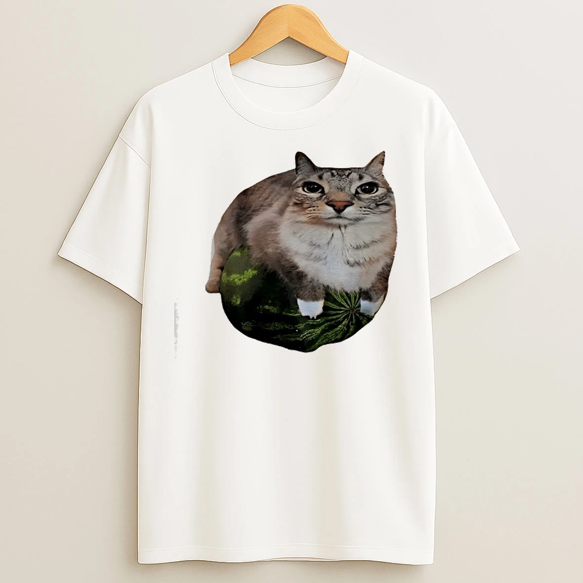 Classic Watermelon Cat Silly Meme T Shirts