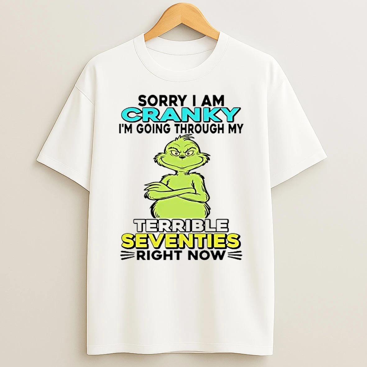 Grinch Sorry I Am Cranky Im Going Through My Terrible Shirts