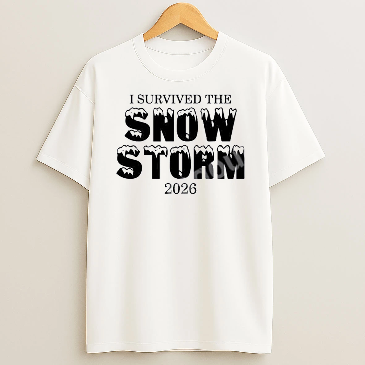 I Survived The The Snow Storm 2026 Shirts