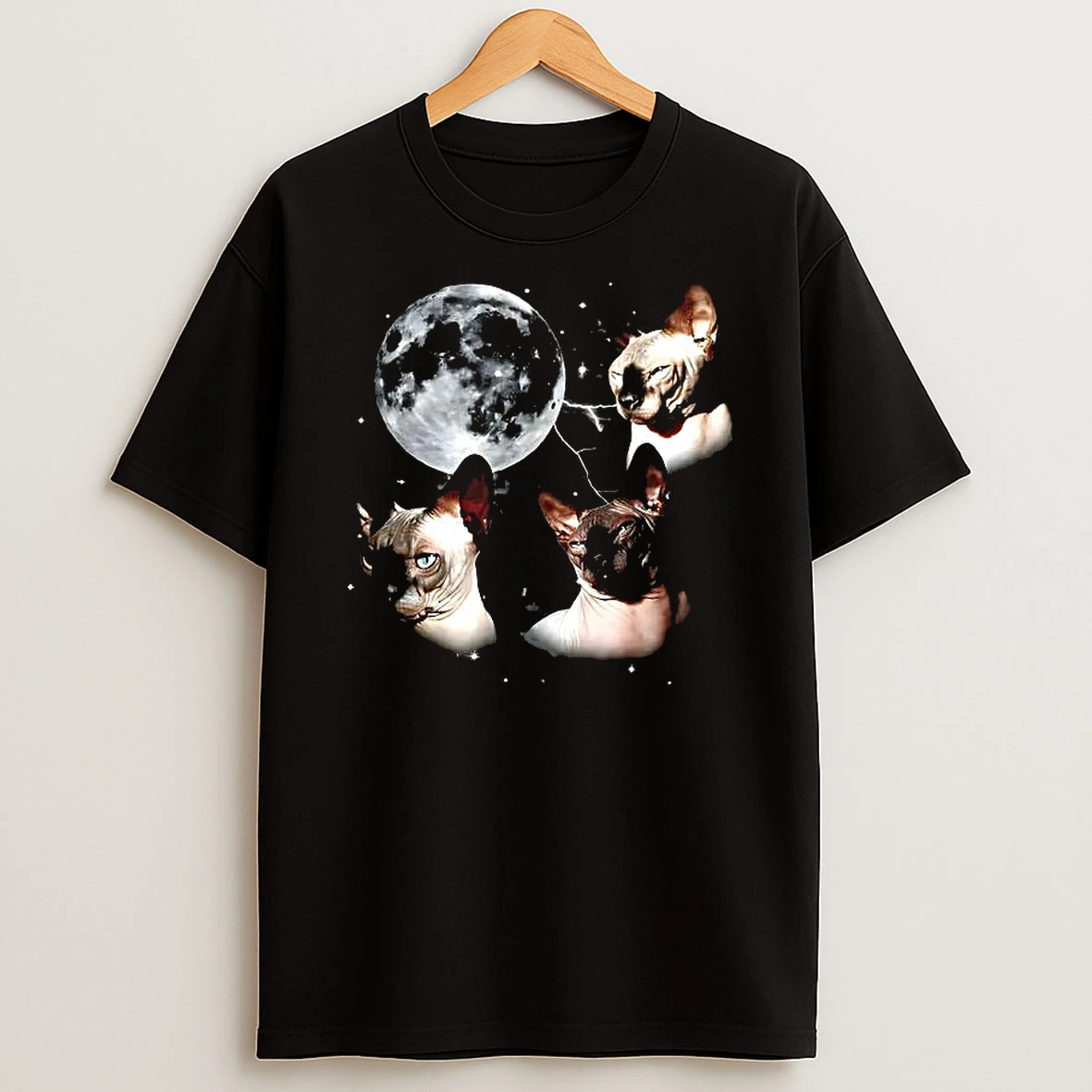 Sphynx Cat And Moon Egyptian Cat Graphic Woman Shirts