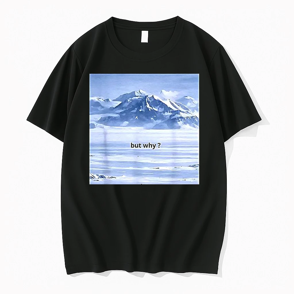 The Penguins Headed Towards The Mountains Motivational But Why Meme Woman Shirts
