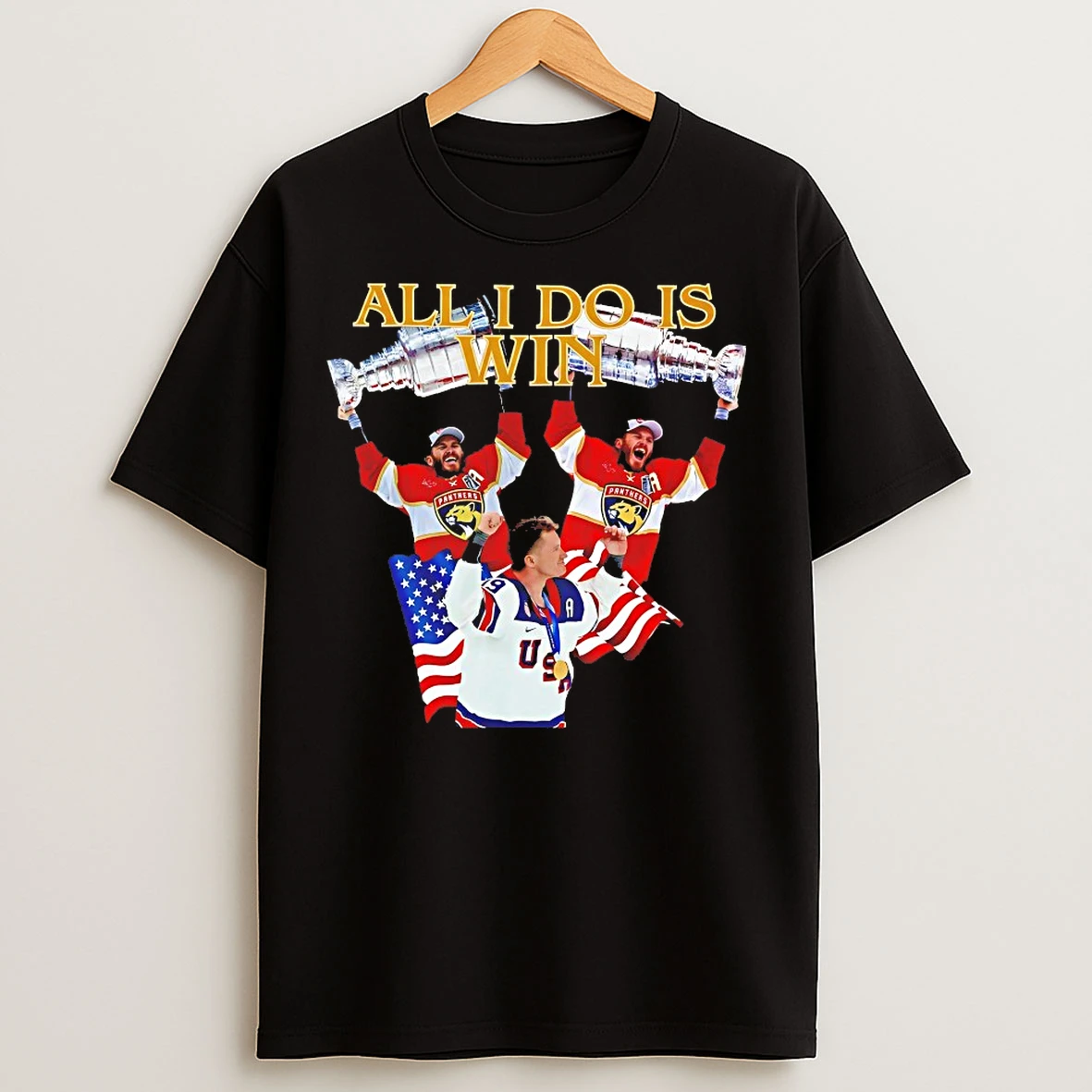 Classic Florida Panthers All I Do Is Win T Shirts