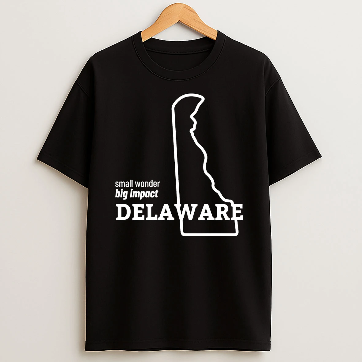 Delaware Small Wonder Big Impact Shirts
