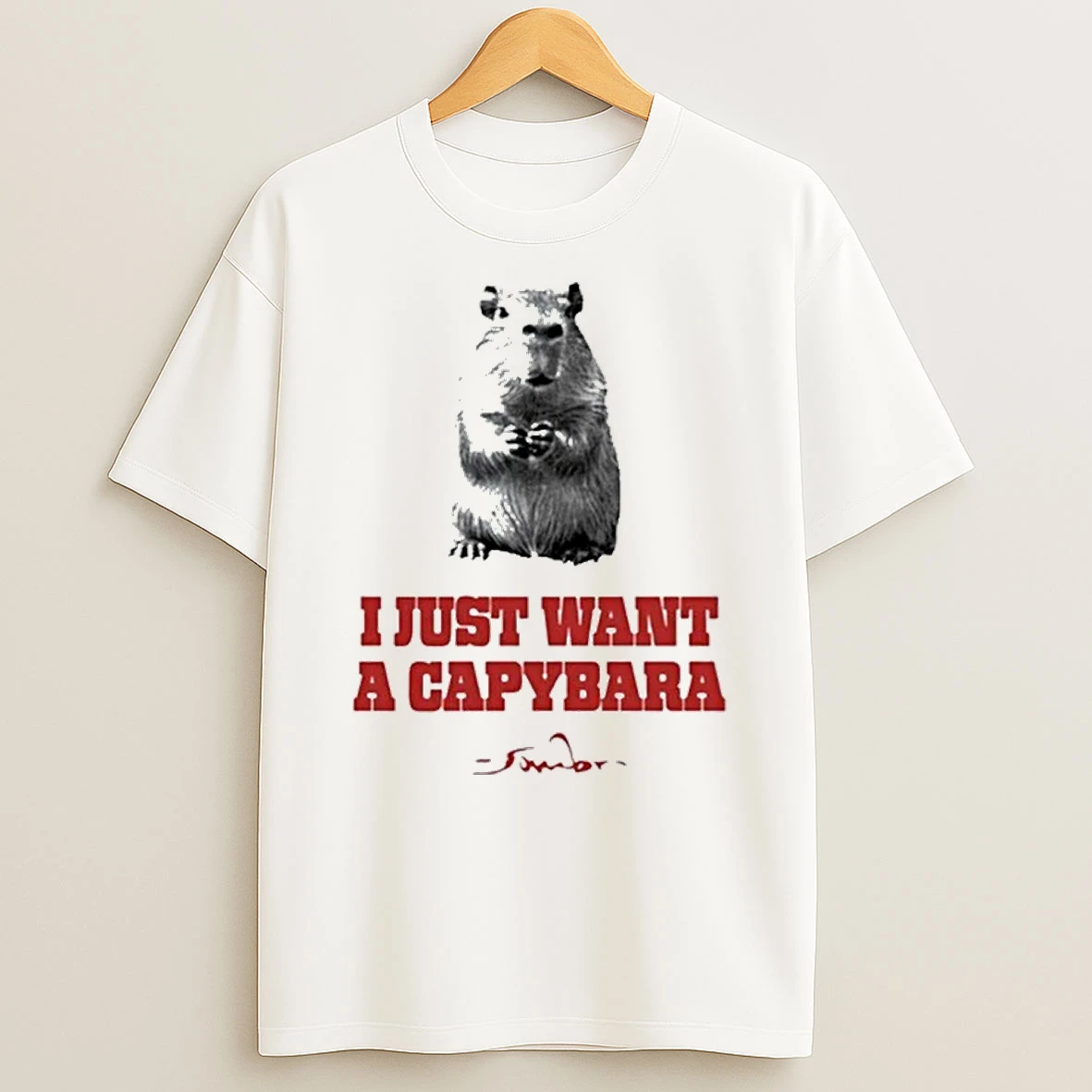 I Just Want A Capybara Shirts