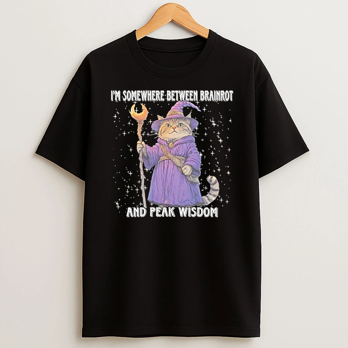Cat Wizard Im Somewhere Between Brainrot And Peak Wisdom Shirts