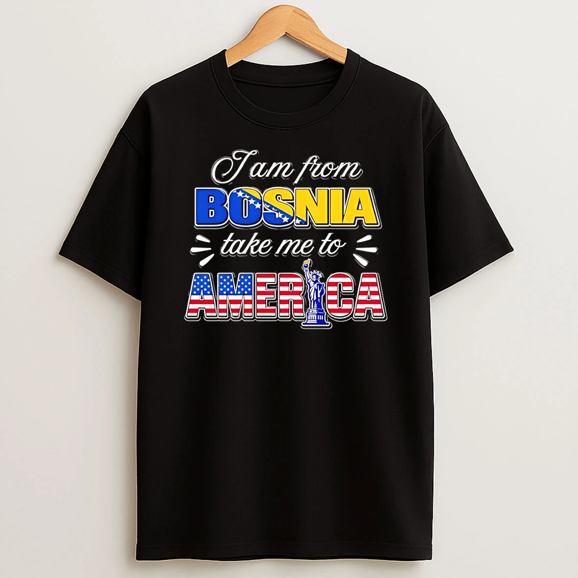 Funny Bosnian I Am From Bosnia Take Me To America Shirts