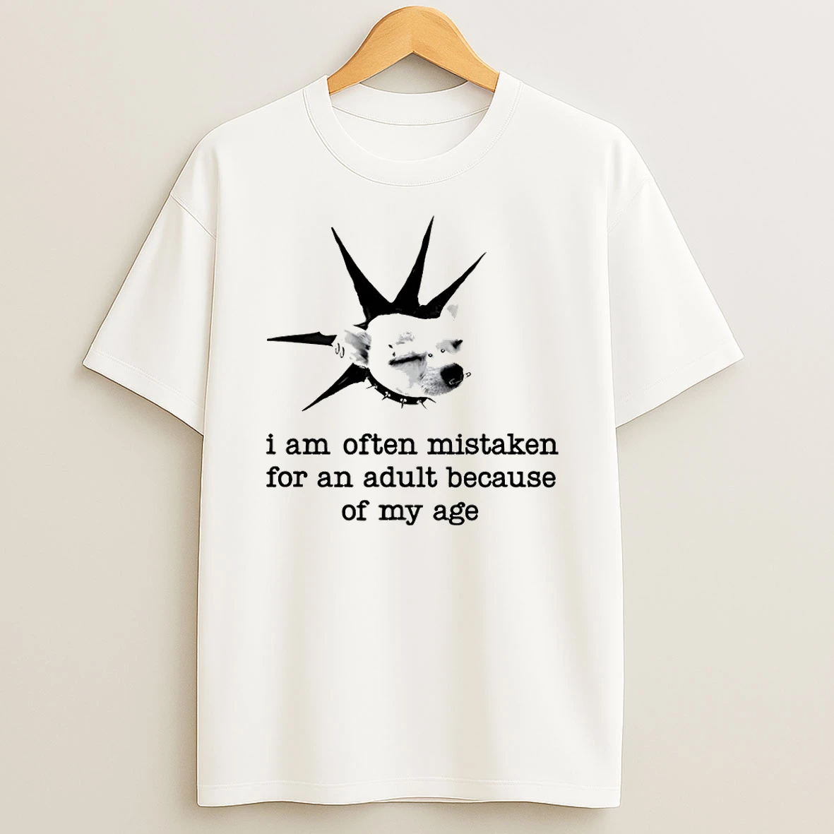 I Am Often Mistaken For An Adult Because Of My Age Shirts