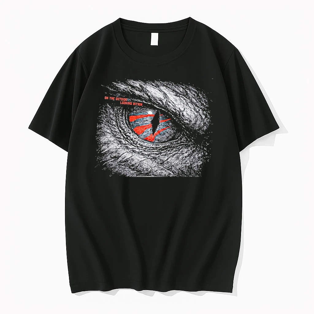 On The Outside Looking Within Toronto Raptors 2026 Nba Playoffs Game 3 Shirts