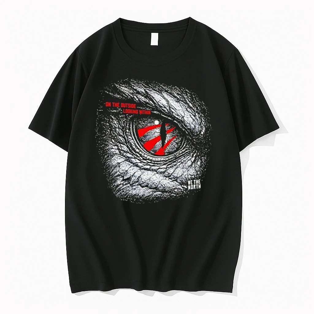Toronto Raptors Basketball On The Outside Looking Within We The North 2026 Shirts