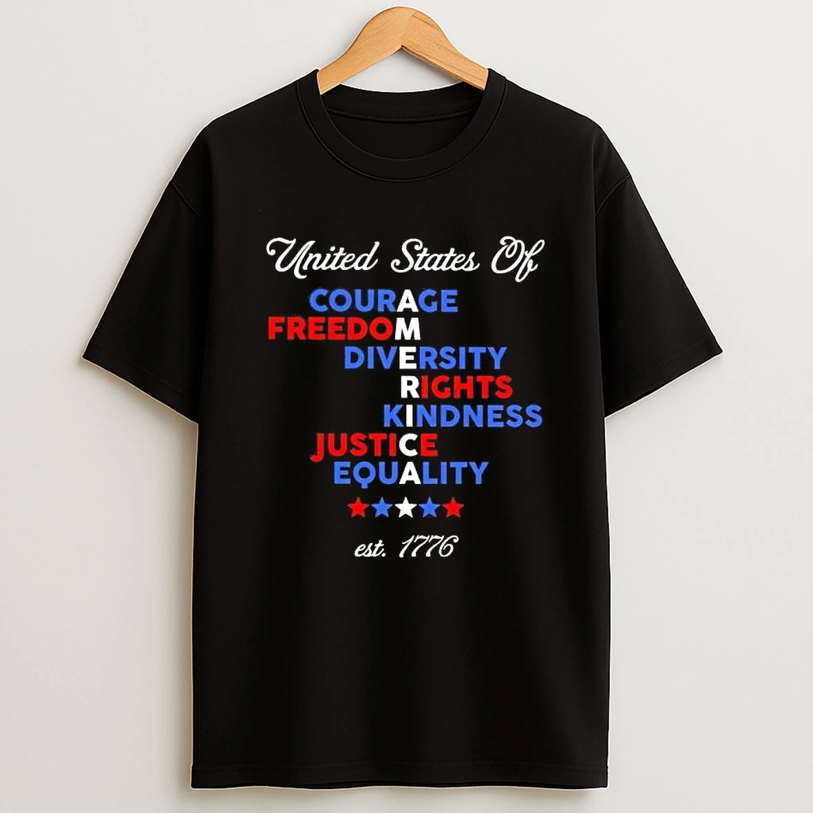 United States Of America Courage Freedom Diversity Rights Kindness Justice Equality Shirts