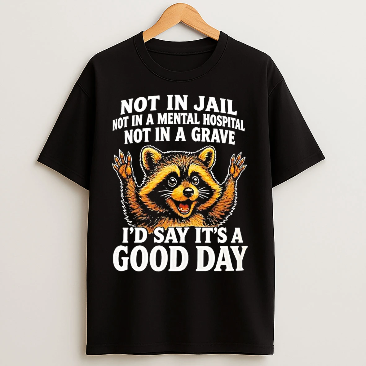 Classic Raccoon Not In Jail Mental Hospital Grave Id Say Its A Good Day T Shirts