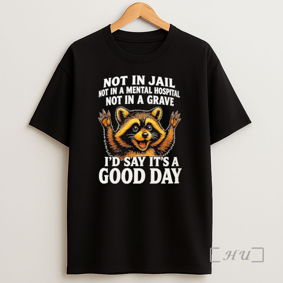 Officials Raccoon Not In Jail Mental Hospital Grave Id Say Its A Good Day Shirt Sweatshirt Tee