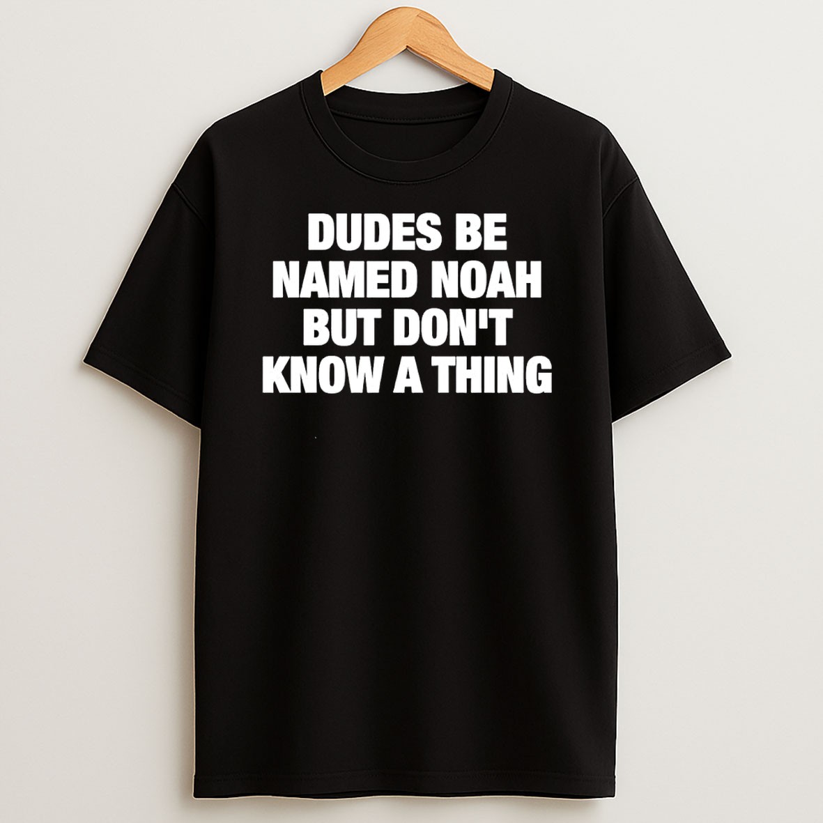 Original Dudes Be Named Noah But Dont Know A Thing Humor Text Shirts